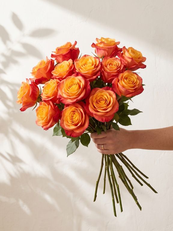 SILANTOI BI-COLOR YELLOW/RED ROSES